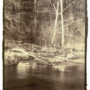 analog processed image depicting a nature scene